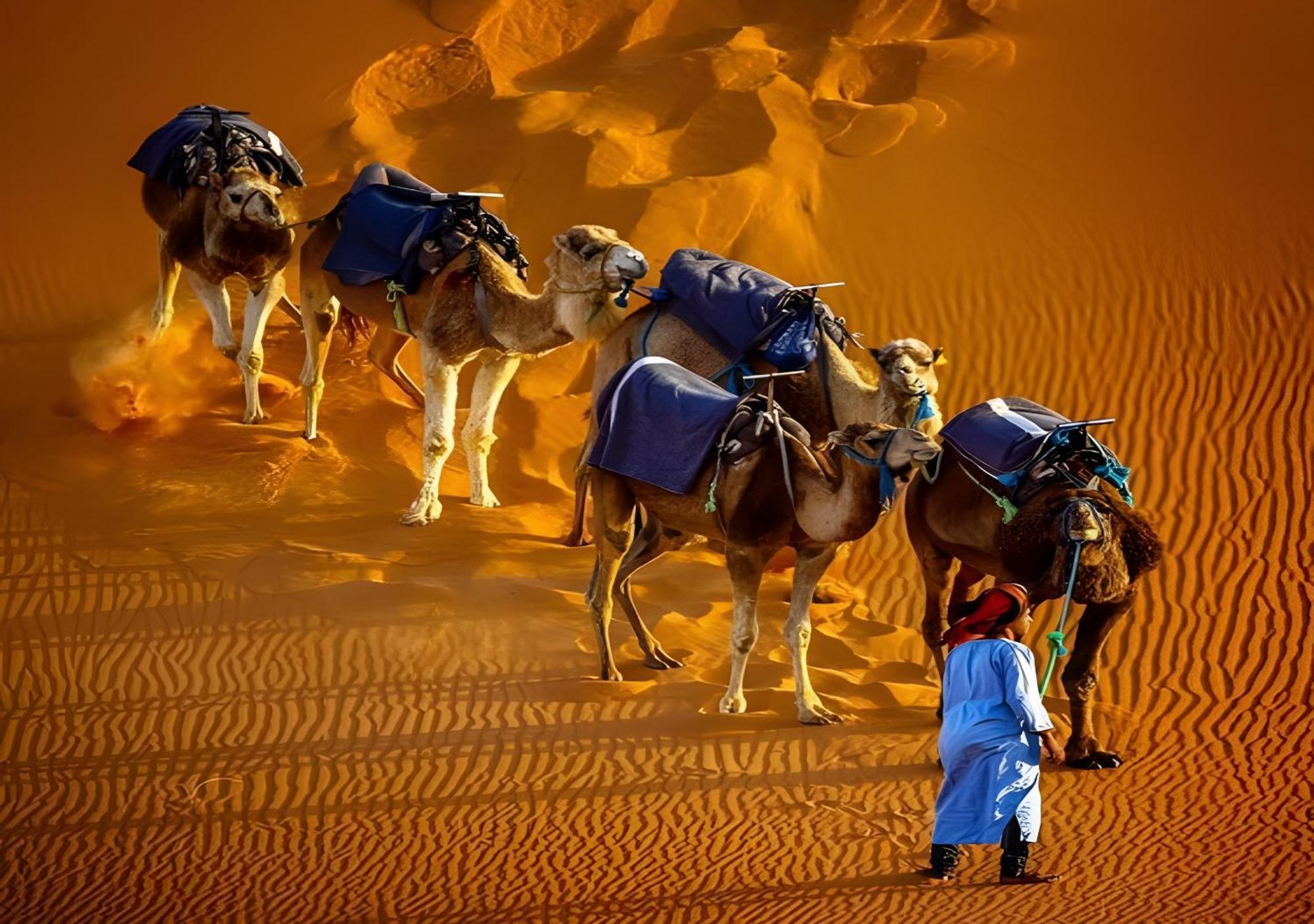 Merzouga Lovely Luxury Camp Eksteriør billede