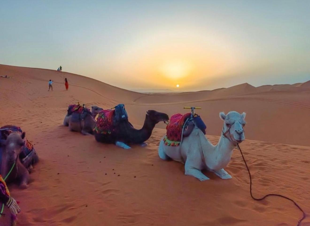 Merzouga Lovely Luxury Camp Eksteriør billede